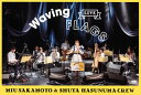 【国内盤DVD】【新品】坂本美雨と蓮沼執太クルー / LIVE Waving FLAGS