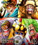 ڹץ֥롼쥤ONE PIECE ԡ17th ɥ쥹 piece.10