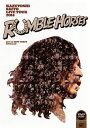 【国内盤DVD】斉藤和義 ／ KAZUYOSHI SAITO LIVE TOUR 2014 RUMBLE HORSES Live at ZEPP TOKYO 2014.12.12〈2枚組〉 [2枚組]