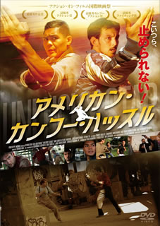 【国内盤DVD】【新品】アメリカン・カンフー・ハッスル