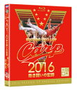 91年以来25年ぶり7度目のリーグ優勝を決めた広島カープの、2016年の映像記録。開幕からの主催勝利ゲームをダイジェストで収めるほか、優勝ドキュメント、25年間の変遷など、多彩の内容となっている。【品番】　RCCBD-01【JAN】　4562237250703【発売日】　2016年12月07日【収録内容】［1］オープニング/栄光の軌跡/エンディング［2］特典ディスク【関連キーワード】黒田博樹|新井貴浩|菊池涼介|緒方孝市|鈴木誠也|クロダヒロキ|アライタカヒロ|キクチリョウスケ|オガタコウイチ|スズキセイヤ|カープ・2016・アツキ・タタカイノ・キロク・V7・キネン・トクベツバン・タエテ・ナミダノ・ユウショウ・ウルワシ|オープニング|エイコウノ・キセキ|エンディング