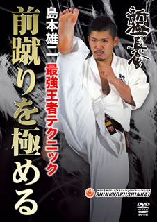 【国内盤DVD】新極真会 島本雄二 最強王者テクニック 前蹴りを極める