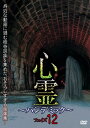【国内盤DVD】【新品】心霊〜パンデミック〜 フェイズ12