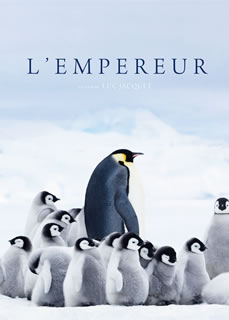 『皇帝ペンギン』から12年、リュック・ジャケ監督が再び南極で撮り上げたネイチャー・ドキュメンタリー。厳しい自然の中、親ペンギンが命懸けで守ったヒナが初めて海へと旅立つまでを、圧巻の映像美でとらえる。【品番】　BIBF-3337【JAN】　4907953212244【発売日】　2019年02月02日【関連キーワード】ランベール・ウィルソン|リュック・ジャケ|シリル・オファール|ランベール・ウィルソン|リュック・ジャケ|シリル・オファール|コウテイ・ペンギン・タダイマ|