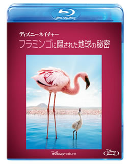 【国内盤ブルーレイ】【新品】ディズニーネイチャー フラミンゴに隠された地球の秘密