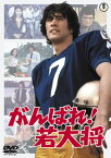 【国内盤DVD】がんばれ!若大将