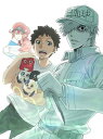【国内盤DVD】【新品】はたらく細胞!! 3