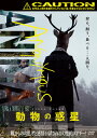 【国内盤DVD】【新品】アノニマス・アニマルズ 動物の惑星