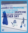 【国内盤ブルーレイ】GRAPEVINE ／ in a lifetime presents another sky