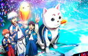 【国内盤ブルーレイ】【新品】銀魂 後祭り2023(仮)【B2023/8/16発売】