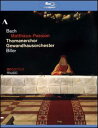 【輸入盤ブルーレイ】【新品】J.S. Bach/St Thomas Boys Choir Leipzig/Schwarz / Matthaus-Passion
