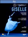 【輸入盤ブルーレイ】【新品】Adam/Bolshoi Ballet/Lunkina/Gudanov / Giselle【2012/6/26】(ジゼル)