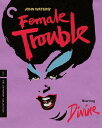 【輸入盤ブルーレイ】【新品】CRITERION COLLECTION / FEMALE TROUBLE