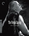 【輸入盤ブルーレイ】【新品】CRITERION COLLECTION / VIRGIN SPRING