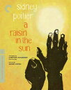 【輸入盤ブルーレイ】【新品】CRITERION COLLECTION / RAISIN IN THE SUN