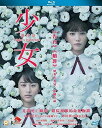 【輸入盤ブルーレイ】【新品】Night's Tightrope (2016)