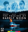 【輸入盤ブルーレイ】【新品】PASSION OF DARKLY NOON