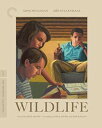 【輸入盤ブルーレイ】【新品】CRITERION COLLECTION / WILDLIFE