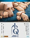【輸入盤ブルーレイ】【新品】Little Q (2019)