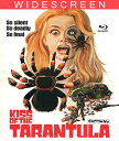 【輸入盤ブルーレイ】【新品】Kiss of the Tarantula