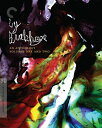 【輸入盤ブルーレイ】【新品】CRITERION COLLECTION / BY BRAKHAGE: AN ANTHOLOGY, VOLUMES ONE AND ...