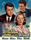 【輸入盤ブルーレイ】【新品】CRITERION COLLECTION / WRITTEN ON THE WIND