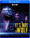【輸入盤ブルーレイ】【新品】IT'S NOT A WOLF【B2023/2/28発売】