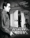 【輸入盤ブルーレイ】【新品】DESPERATE HOURS (Limited Edition)【B2023/10/17発売】