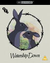 【輸入盤UHD】【新品】WATERSHIP DOWN【UHD2025/3/28発売】(ウォーターシップ・ダウンのうさぎたち)