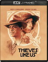 【輸入盤UHD】【新品】THIEVES LIKE US (4K) (w/Blu-ray) (DTS) (MONO) (Sign Language)【UHD202...