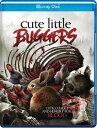 【輸入盤ブルーレイ】【新品】CUTE LITTLE BUGGERS【B2025/2/4発売】