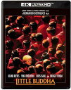 【輸入盤UHD】【新品】LITTLE BUDDHA【UHD2025/7/22発売】