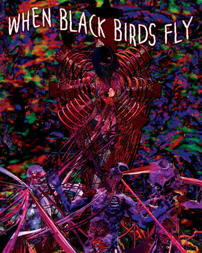 【輸入盤ブルーレイ】【新品】WHEN BLACK BIRDS FLY【B2025/9/16発売】