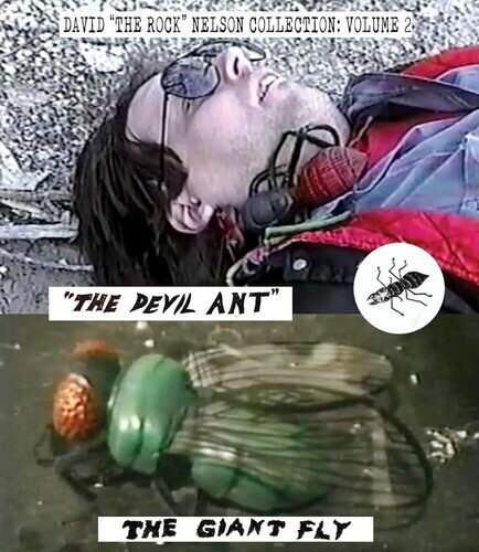 ��͢���ץ֥롼�쥤�ۡڿ��ʡ�DAVID 