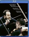 【輸入盤ブルーレイ】【新品】SHOSTAKOVICH/NELSONS/FEUDEL / VIOLIN CONCERTO/SYMPHONY 5【BM2020/2/...