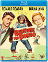 【輸入盤ブルーレイ】【新品】BEDTIME FOR BONZO【B2022/11/8発売】