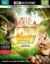 【輸入盤UHD】【新品】WILD AFRICA/TINY GIANTS