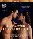 【輸入盤ブルーレイ】【新品】TALBOT/HAYWARD/MORERA / LIKE WATER FOR CHOCOLATE【BM2023/6/23発売】