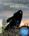 【輸入盤ブルーレイ】【新品】CRITERION COLLECTION / WATERSHIP DOWN ウォーターシップ・ダウンのうさぎたち