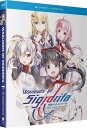 【輸入盤ブルーレイ】【新品】WARLORDS OF SIGRDRIFA: COMPLETE SEASON (2PC)【B2022/3/15発売】(戦翼のシグルド...