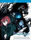 【輸入盤ブルーレイ】ANCIENT MAGUS' BRIDE: BOY FROM THE WEST/KNIGHT OF THE BLUE STORM 魔法使いの嫁 西の少年と青嵐の騎士【B2023/7/25発売】