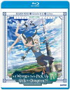 【輸入盤ブルーレイ】【新品】IS IT WRONG TO TRY TO PICK UP GIRLS IN A DUNGEON【B2023/11/21発売】ダンジ...