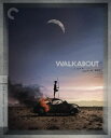 【輸入盤UHD】【新品】CRITERION COLLECTION / WALKABOUT【UHD2023/9/12発売】