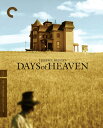 【輸入盤UHD】【新品】CRITERION COLLECTION / DAYS OF HEAVEN【B2023/11/14発売】