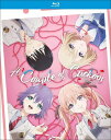 【輸入盤ブルーレイ】【新品】COUPLE OF CUCKOOS: SEASON 1 - PART 2 (2PC)【B2023/12/12発売】(カッコウの許嫁)