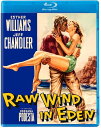 【輸入盤ブルーレイ】【新品】RAW WIND IN EDEN【B2023/1/10発売】