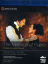 【輸入盤ブルーレイ】Mozart/Rhodes/Fiebig/Summers / Marriage of Figaro