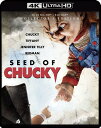 【輸入盤UHD】【新品】SEED OF CHUCKY (2PK)【UHD2023/7/25発売】