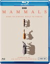 【輸入盤ブルーレイ】【新品】MAMMALS (2PC)【B2024/08/27発売】