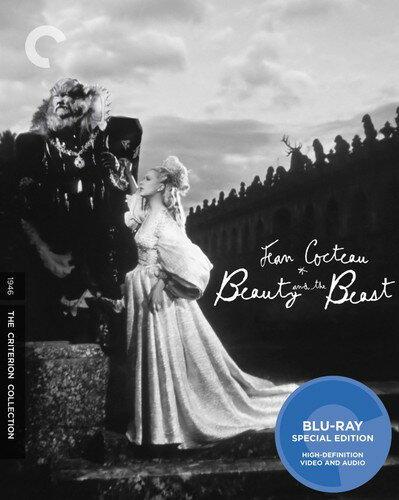 yAՃu[CzCRITERION COLLECTION / BEAUTY & THE BEASTiƖbj